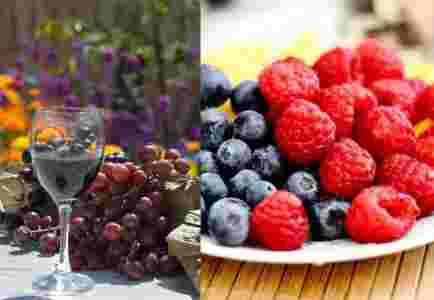 sucuri din fructe de vară