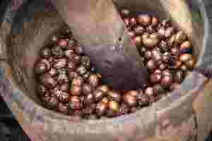 fructele boabe ale unui arbore african, din care se extrage untul de karite