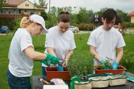 Programul „Nestlé for Healthier Kids”