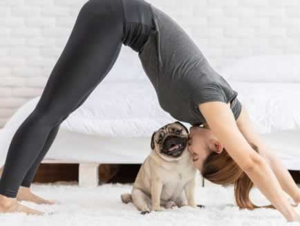 exerciţii fizice pentru acasă