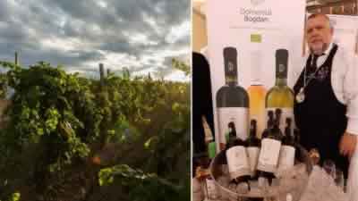 Domeniul Bogdan, primul producător de vin din România care practică viticultură biodinamică