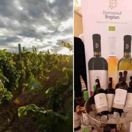 Domeniul Bogdan vinuri romanesti premiate international